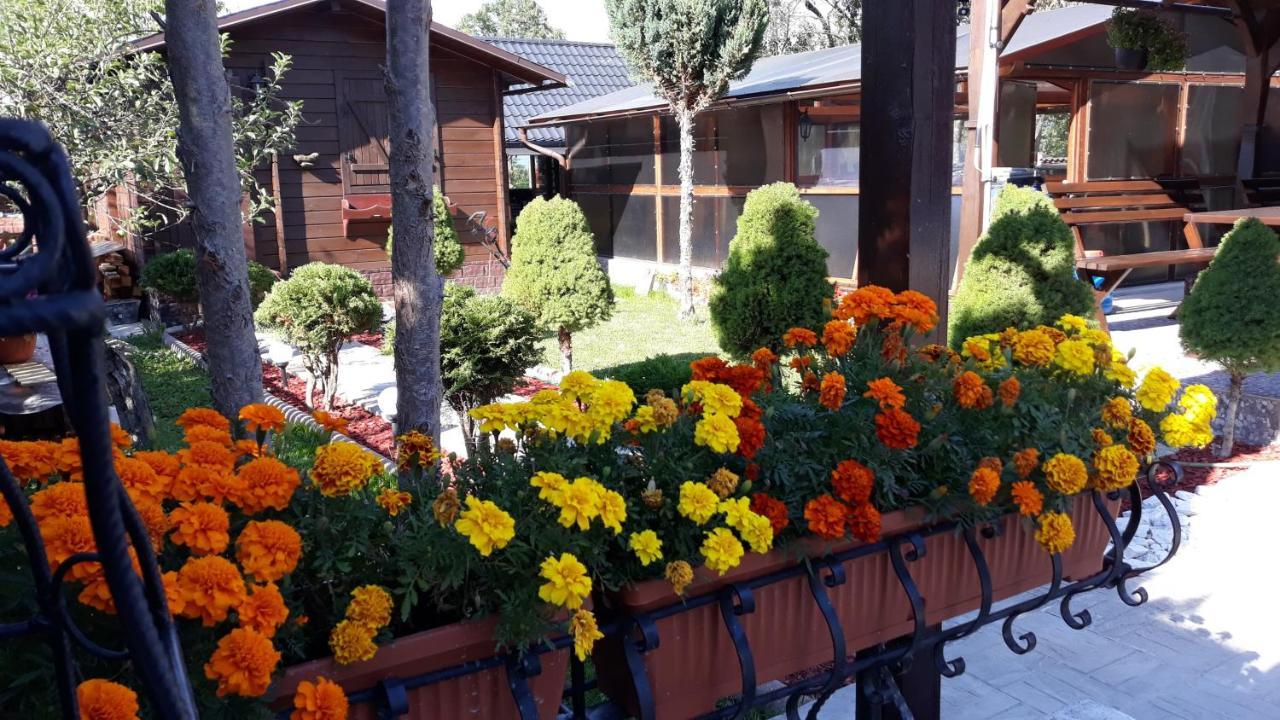 Casa Alberta Ocna Sugatag Exterior photo
